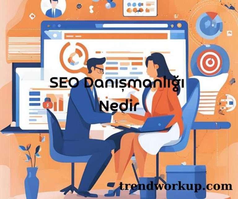 SEO Danışmanlığı nedir örnek görsel
