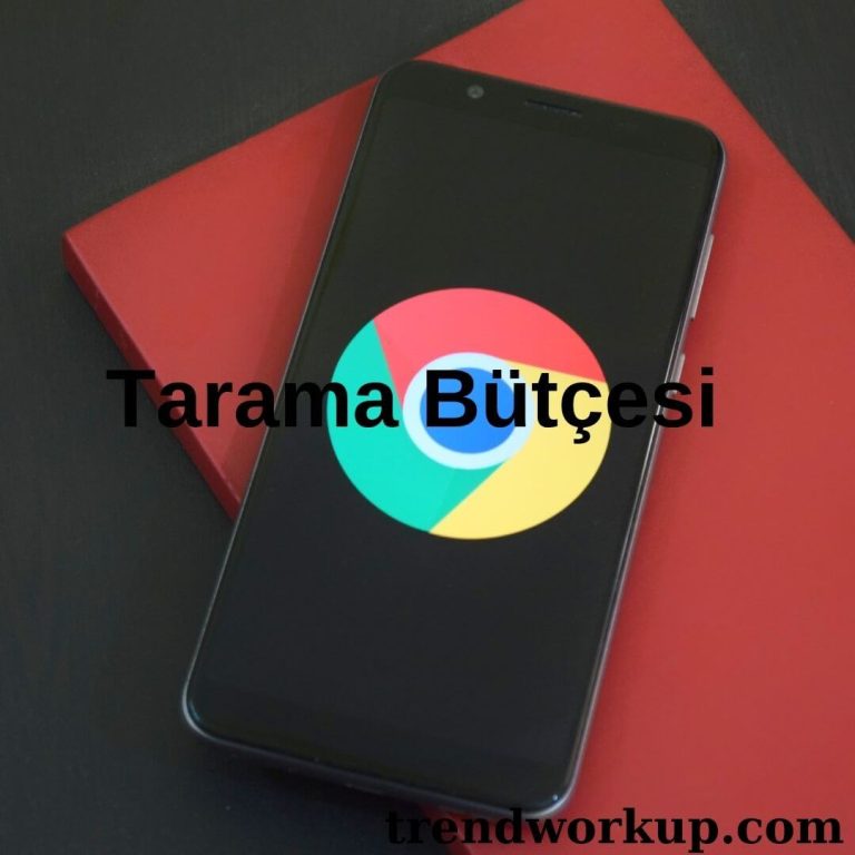 Tarama Bütçesi